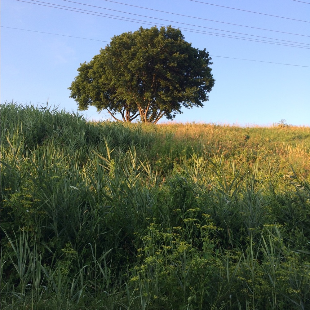 Vintage finds, essential clothes, classic style!